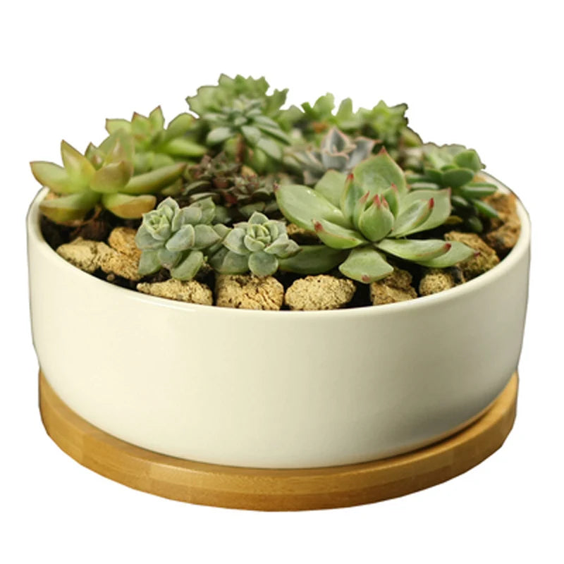 Ceramic Succulent Plant Pot White Porcelain - view 4