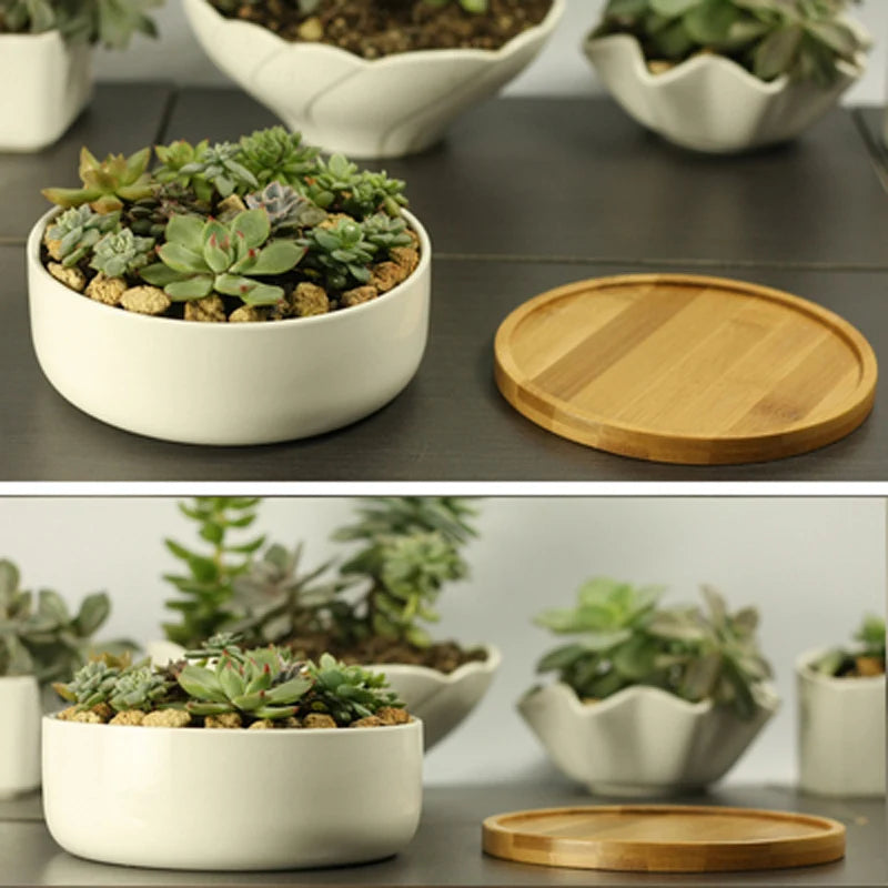 Ceramic Succulent Plant Pot White Porcelain - view 2