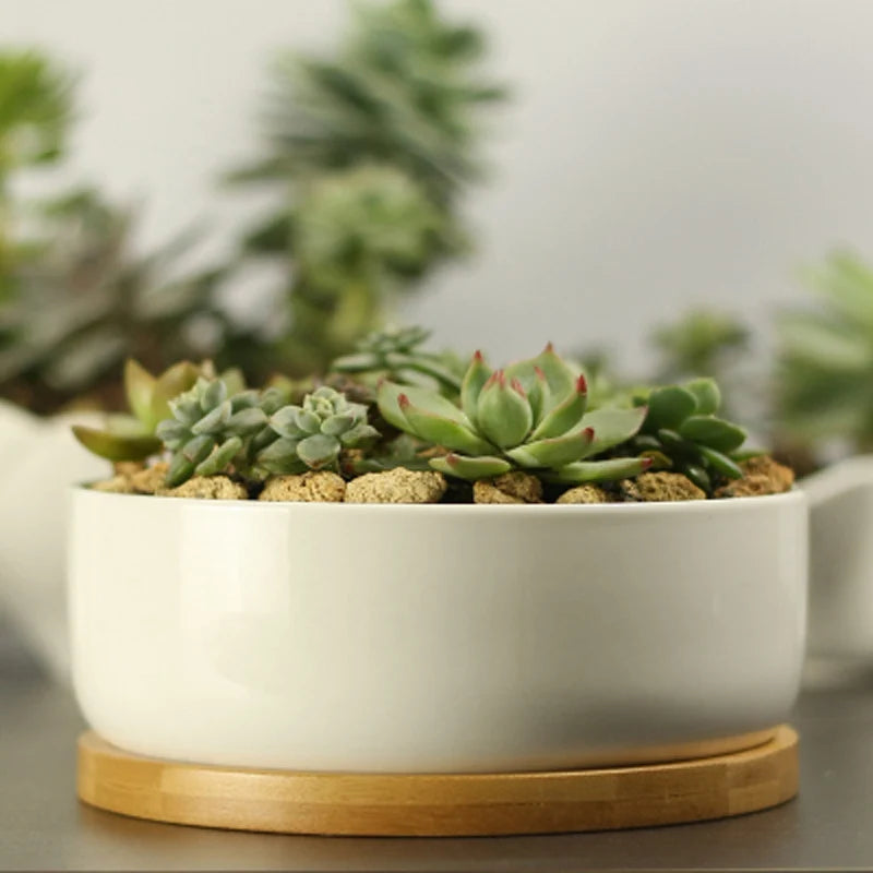 Ceramic Succulent Plant Pot White Porcelain - view 1
