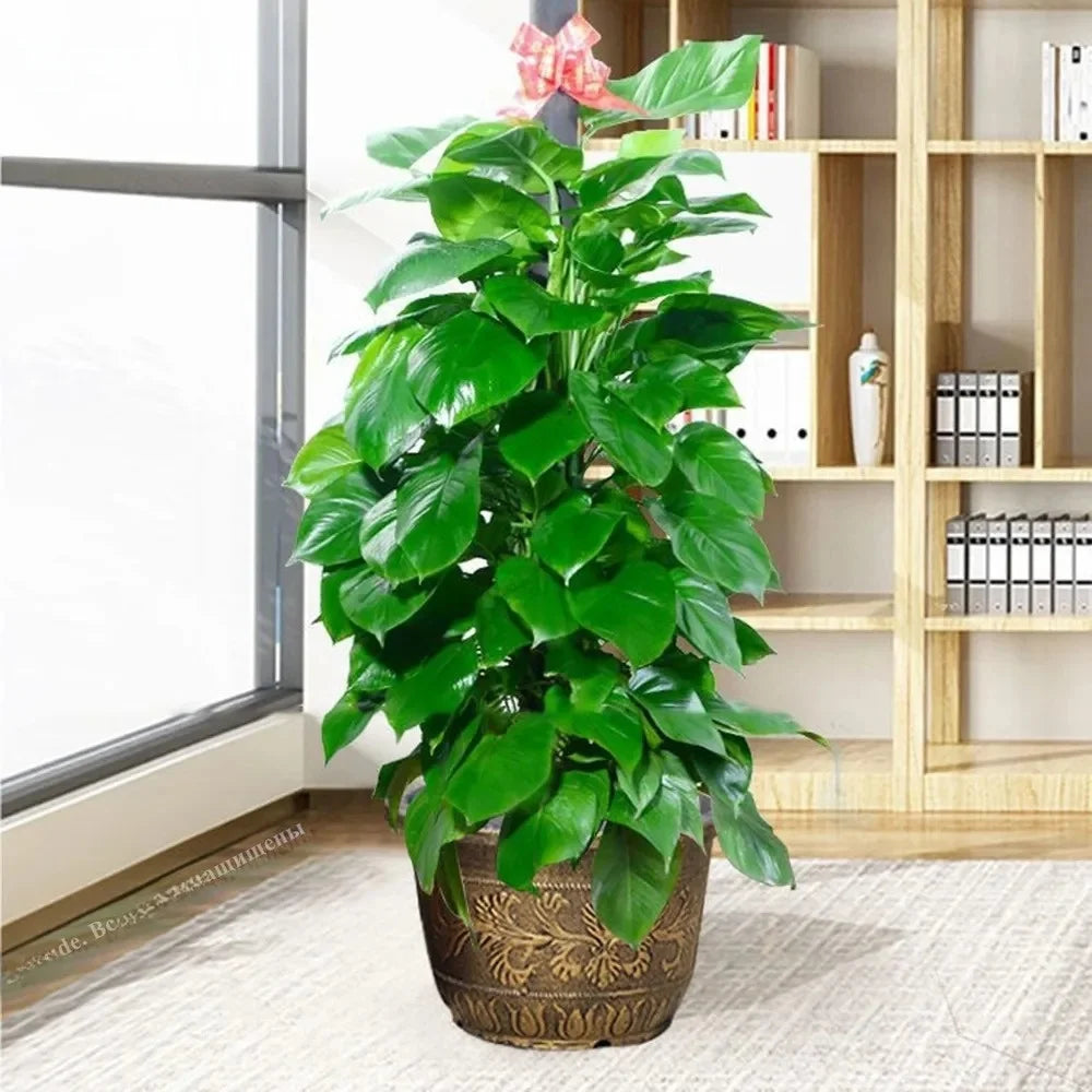 Resin Lotus Planter Pot Large 7 - view 5