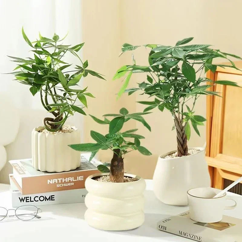 INS Flowerpot Ceramic Pots - view 1