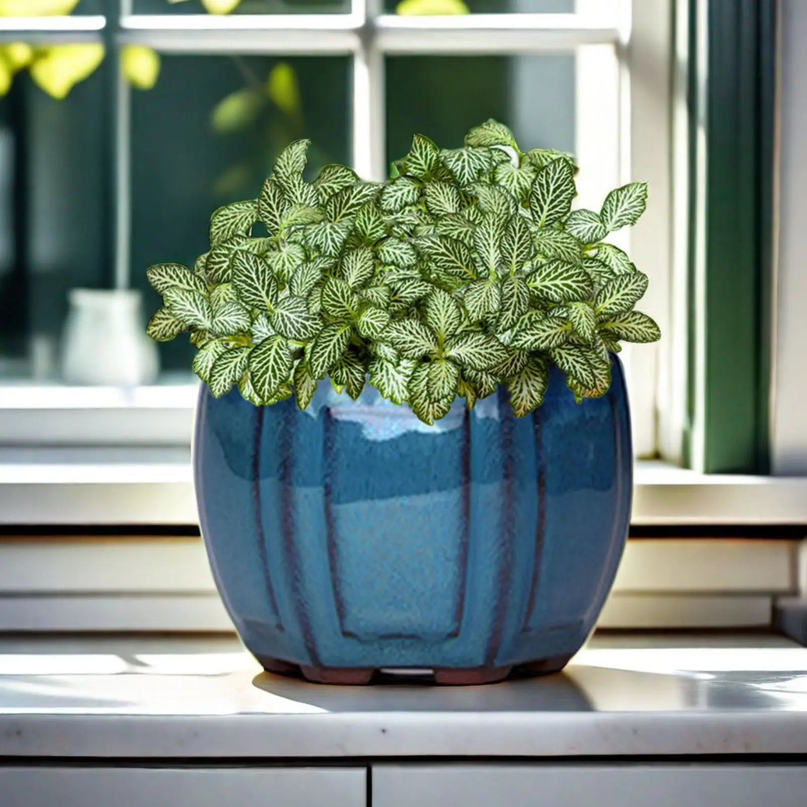 Ceramic Garden Planter Pots Plant - view 6