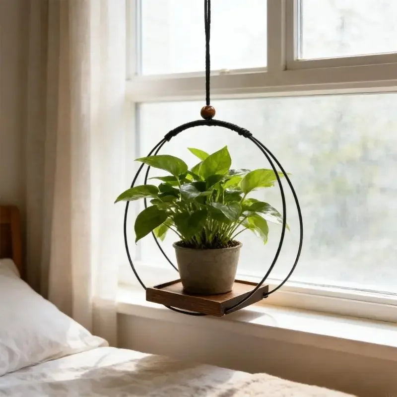 Indoor Hanging Planter Black - view 3