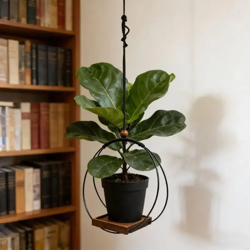 Indoor Hanging Planter Black - view 2
