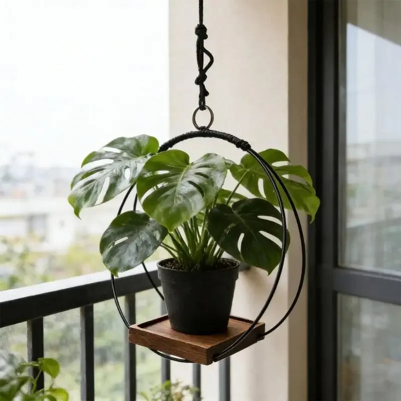 Indoor Hanging Planter Black - view 5